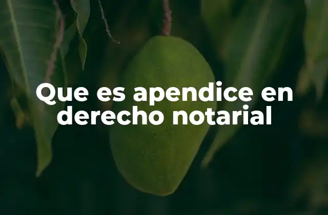 El apéndice como herramienta de formalidad en los instrumentos notariales