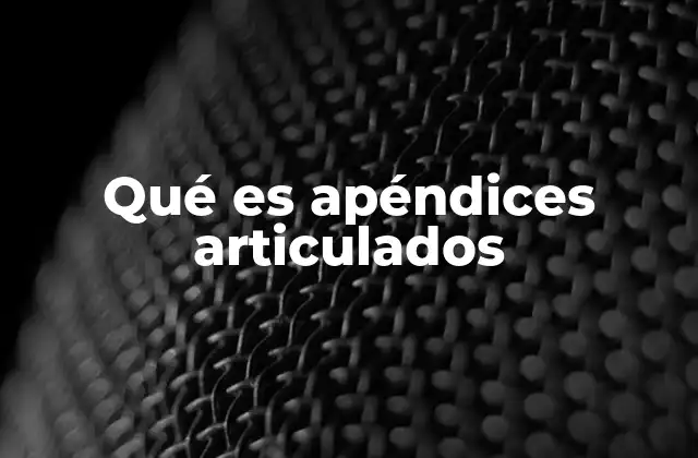 Qué es Apéndices Articulados