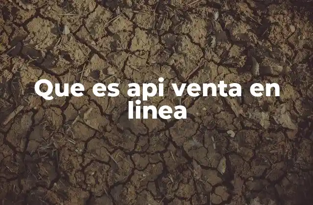 Que es Api Venta en Linea