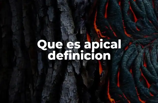 Que es Apical Definicion 2 El uso de apical en la botánica