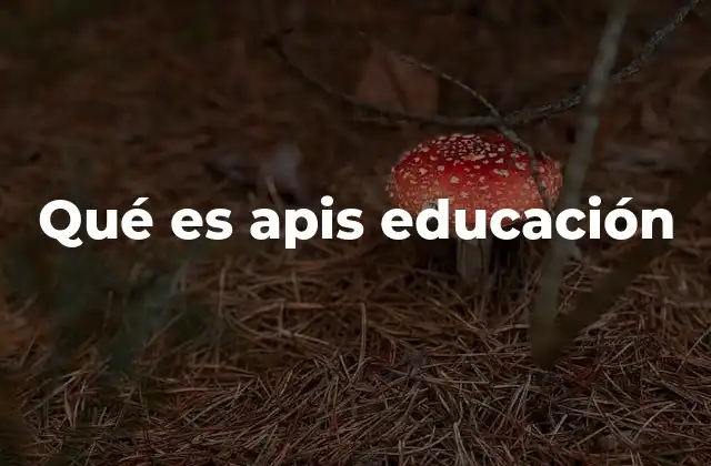 Qué es Apis Educación