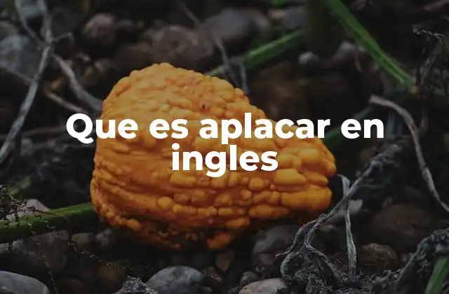 Que es Aplacar en Ingles
