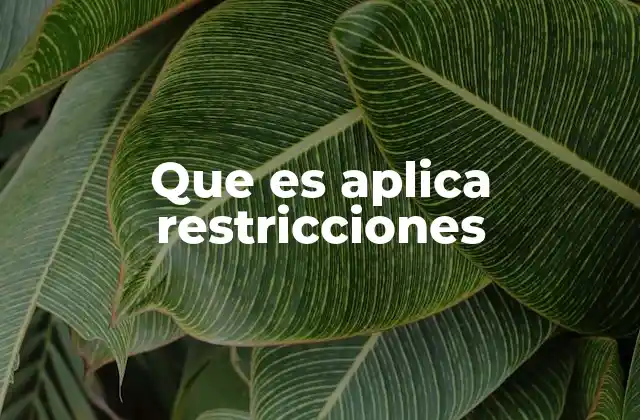 Que es Aplica Restricciones