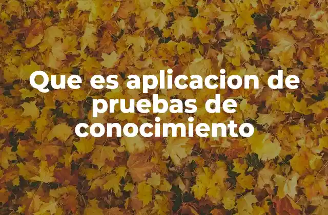 La evolución de las herramientas de evaluación digital