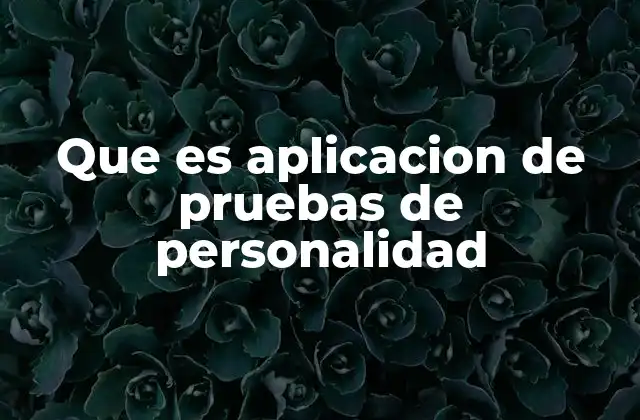 Que es Aplicacion de Pruebas de Personalidad