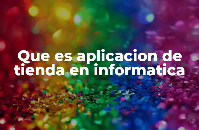 Que es Aplicacion de Tienda en Informatica