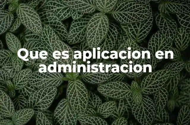 Que es Aplicacion en Administracion