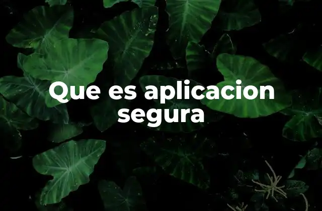 Que es Aplicacion Segura