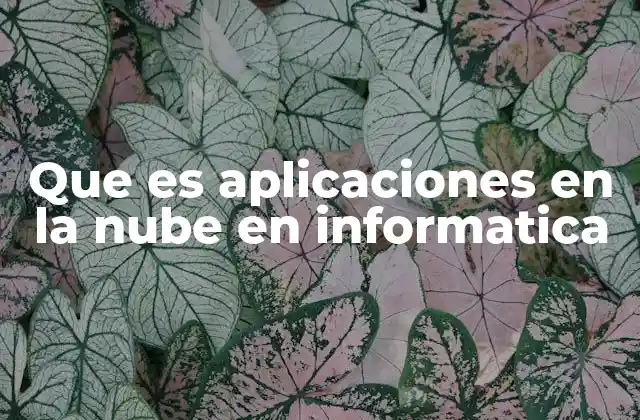 Que es Aplicaciones en la Nube en Informatica
