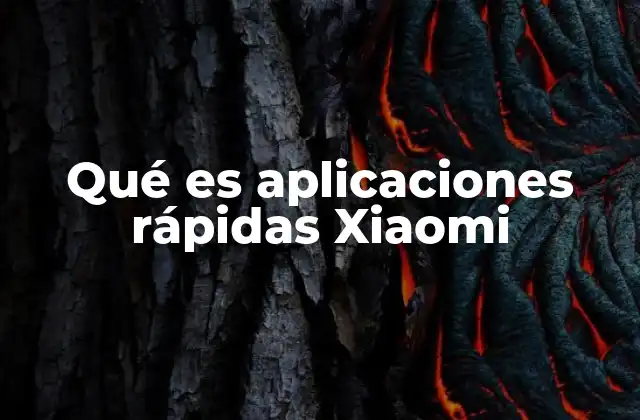 Qué es Aplicaciones Rápidas Xiaomi