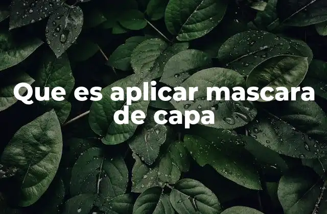Que es Aplicar Mascara de Capa
