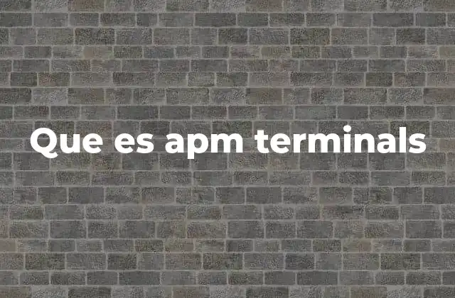 Que es Apm Terminals