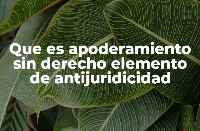 La importancia del apoderamiento sin derecho en la caracterización del hurto
