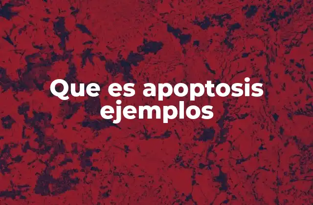 El papel de la apoptosis en el desarrollo y la salud celular