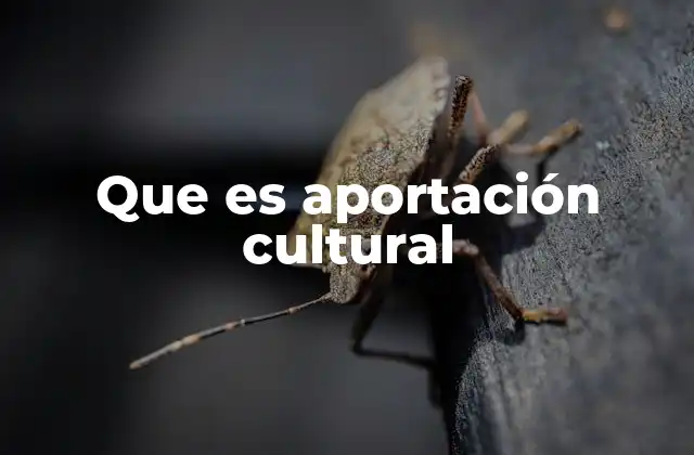 Que es Aportación Cultural