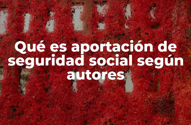 Qué es Aportación de Seguridad Social según Autores