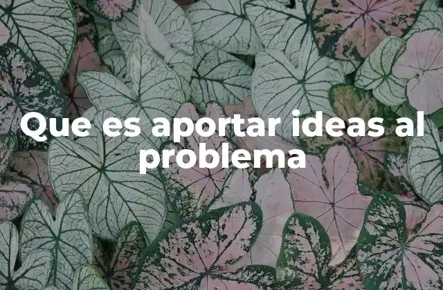 Que es Aportar Ideas Al Problema