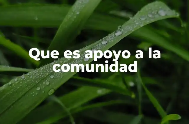 Que es Apoyo a la Comunidad
