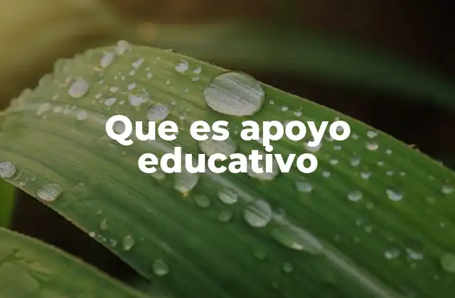Que es Apoyo Educativo