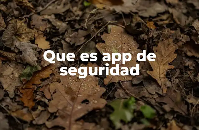 Que es App de Seguridad