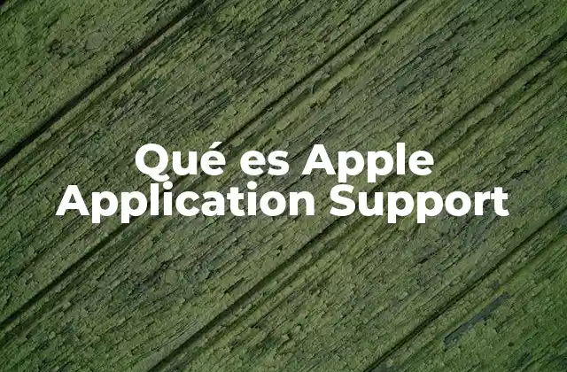 El papel de Apple Application Support en la conectividad moderna