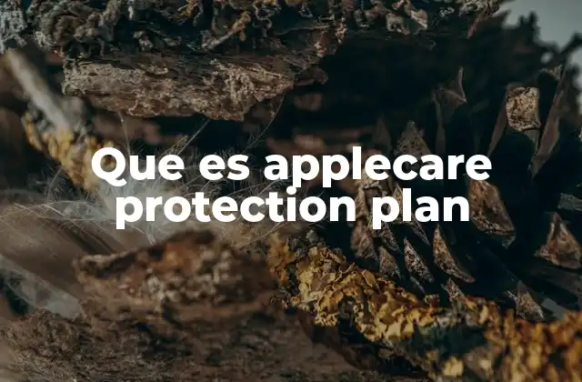 Que es Applecare Protection Plan
