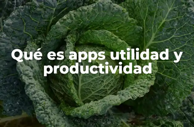 Qué es Apps Utilidad y Productividad