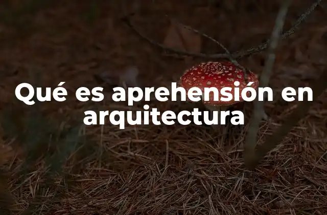 Qué es Aprehensión en Arquitectura 2 La importancia de la percepción en el diseño arquitectónico