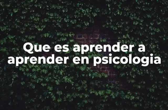 Que es Aprender a Aprender en Psicologia