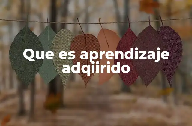 Cómo se desarrolla el aprendizaje a lo largo de la vida