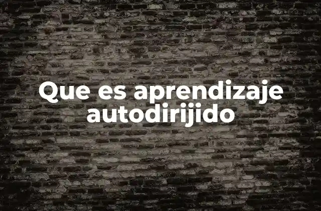 Que es Aprendizaje Autodirijido