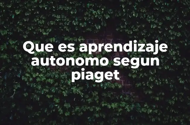 Que es Aprendizaje Autonomo Segun Piaget 2 El rol del niño como constructor de conocimiento