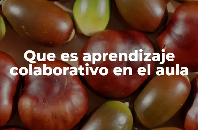 Que es Aprendizaje Colaborativo en el Aula
