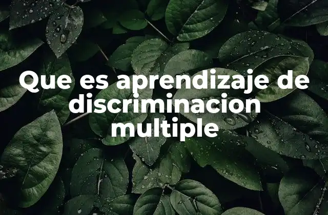 Que es Aprendizaje de Discriminacion Multiple