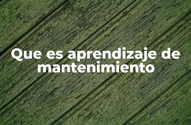 Que es Aprendizaje de Mantenimiento