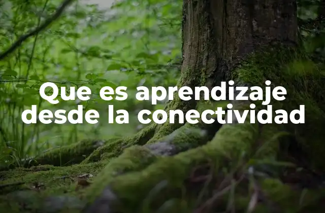 Que es Aprendizaje desde la Conectividad