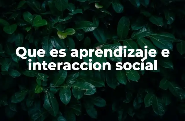 Que es Aprendizaje e Interaccion Social