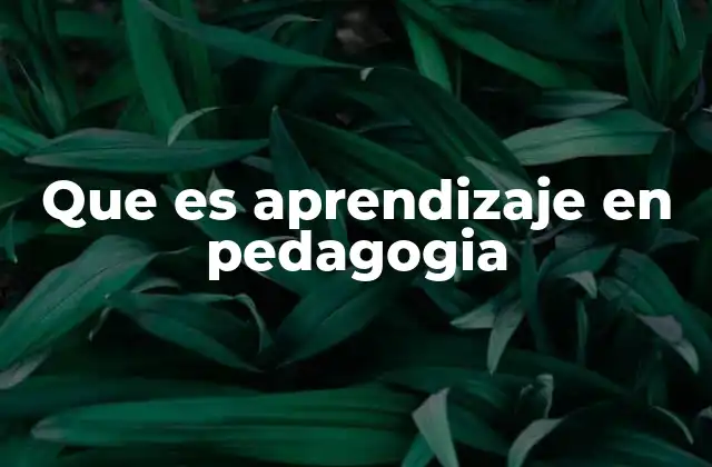 Que es Aprendizaje en Pedagogia