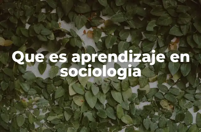 Que es Aprendizaje en Sociologia