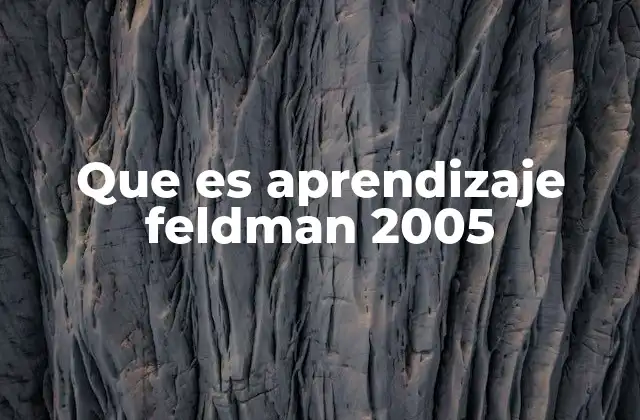 Que es Aprendizaje Feldman 2005 2 El aprendizaje como proceso dinámico y contextual