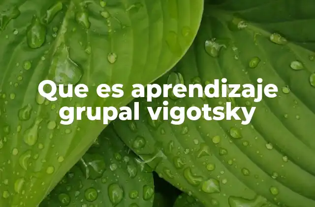 Que es Aprendizaje Grupal Vigotsky