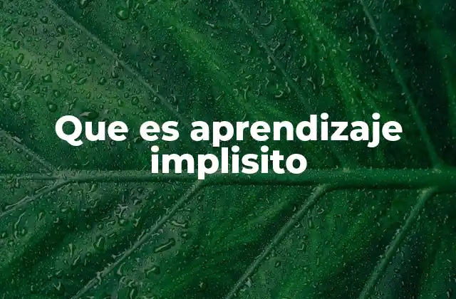 Que es Aprendizaje Implisito
