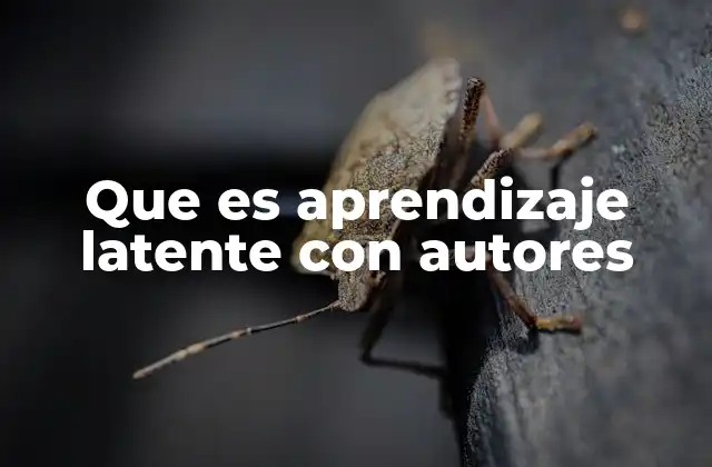 Que es Aprendizaje Latente con Autores