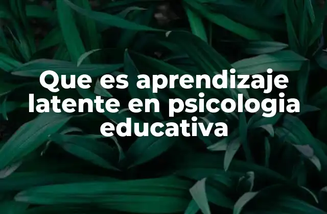 Que es Aprendizaje Latente en Psicologia Educativa 2 La importancia del aprendizaje latente en el proceso educativo