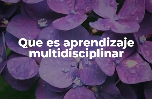 Que es Aprendizaje Multidisciplinar