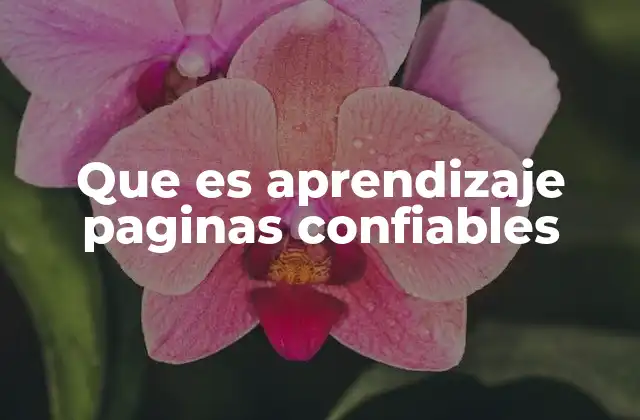 Que es Aprendizaje Paginas Confiables