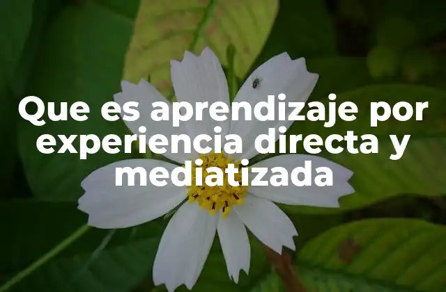 Que es Aprendizaje por Experiencia Directa y Mediatizada