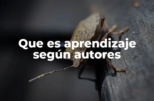 Que es Aprendizaje según Autores