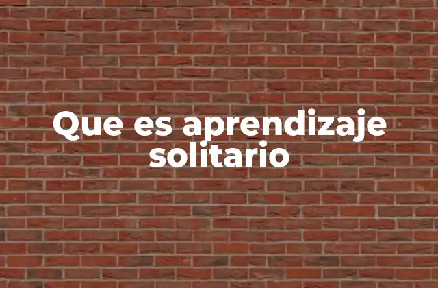 Cómo se desarrolla el aprendizaje solitario