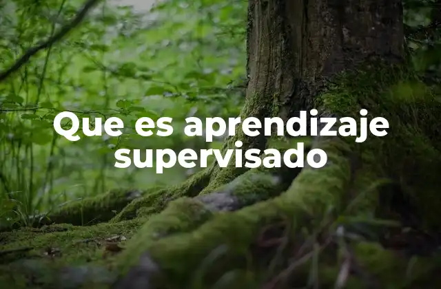 Que es Aprendizaje Supervisado